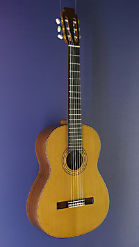 Dari Garcia Meistergitarre Zeder, Madagaskar Palisander, Baujahr 2021, Mensur 65 cm